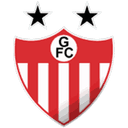 Guarany de Bage logo