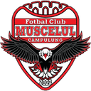Campulung Muscel logo