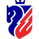 Botosani logo