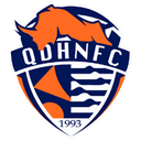 Qingdao Hainiu logo