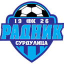FK Radnik Surdulica logo