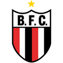 Botafogo SP logo