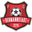 Hermannstadt logo